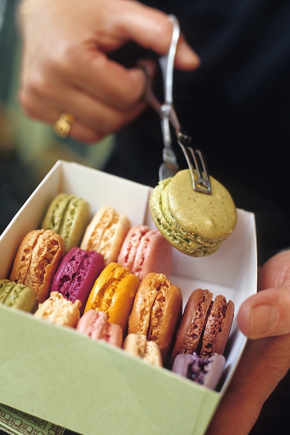 MACARONsc.jpg