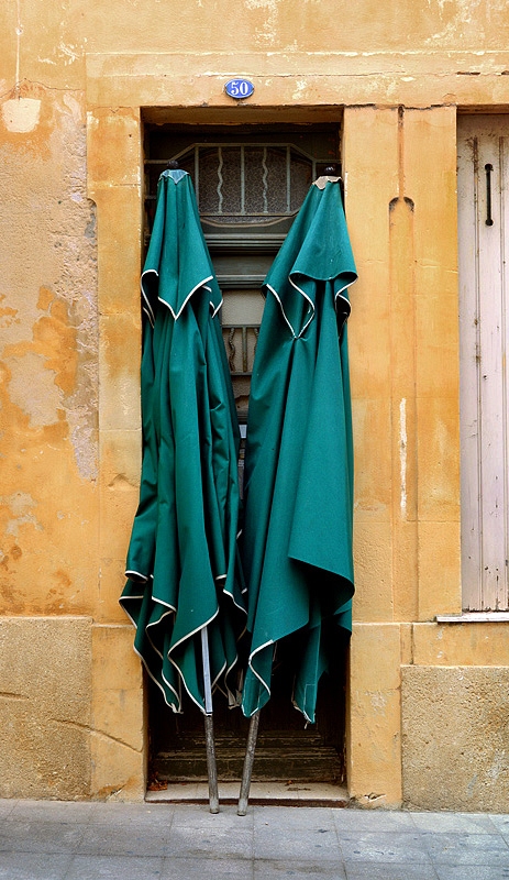 DSC-7682n-koken.jpg