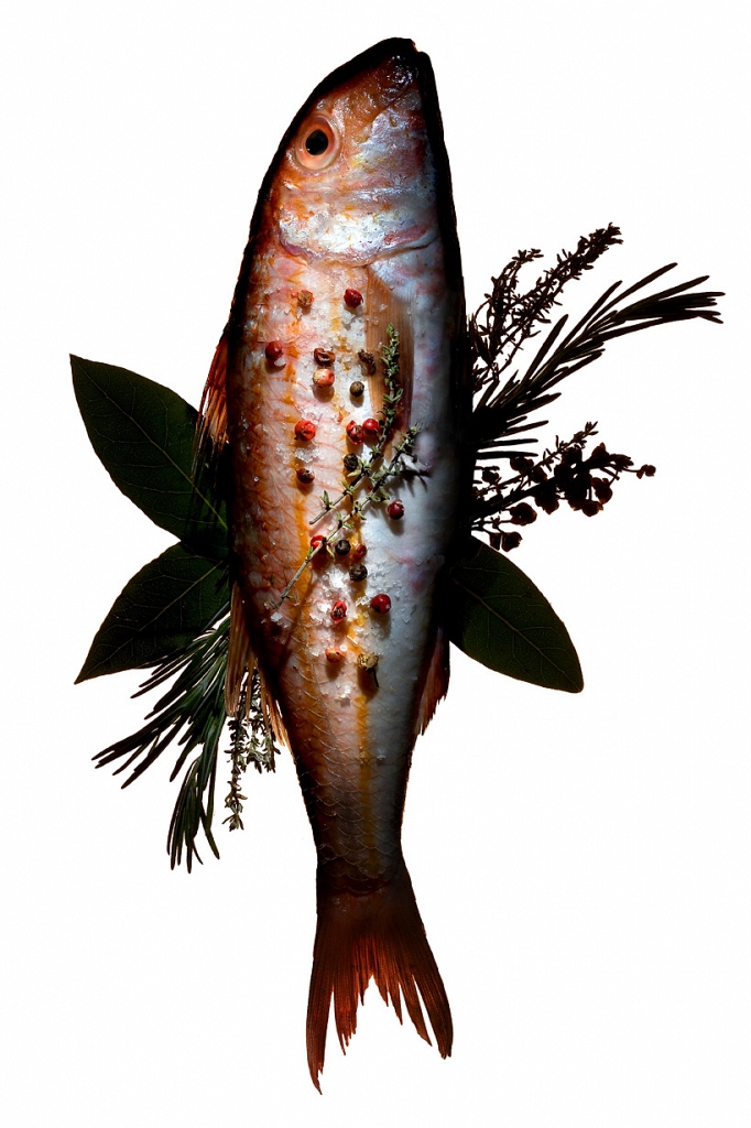 POISSON-1b.jpg